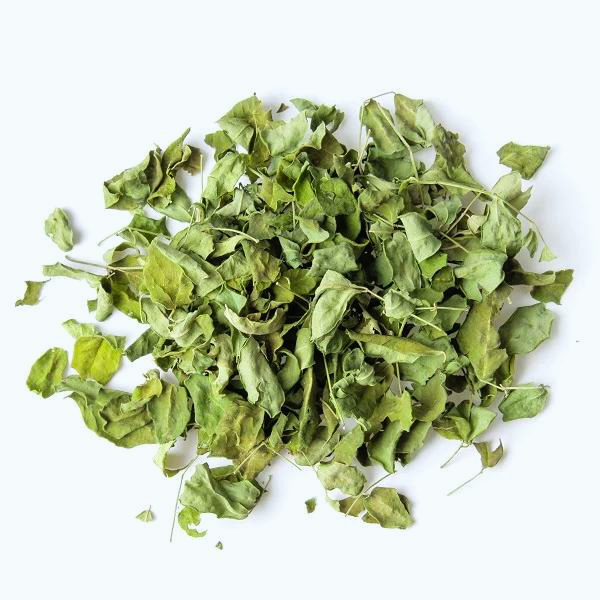 Moringa Oleifera : L'arbre de vie aux saveurs épicées et bienfaits nutritifs (Feuilles bio séchées)