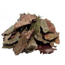 Feuilles séchées de Kinkéliba (tisane de longue vie) / Dried leaves of Kinkeliba (longevity tea)